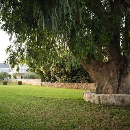 Villa Cedar Tree