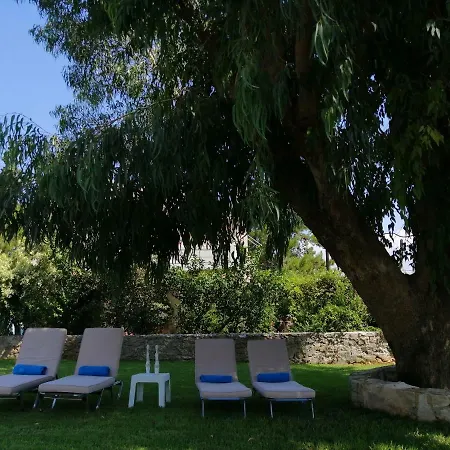 Villa Cedar Tree *